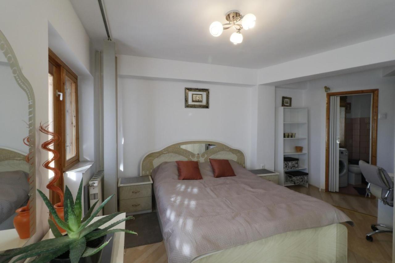 Danielle Apartament 이아시 외부 사진